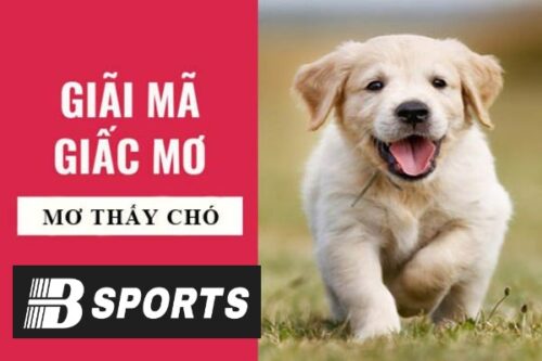 Giải mã nằm mơ thấy chó là mang điềm báo như thế nào