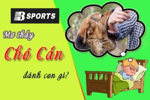 Nằm mơ bị chó cắn đánh con gì trúng dễ