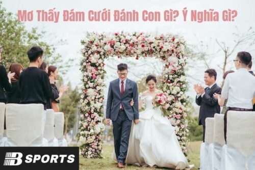 Nằm mơ thấy đám cưới đánh con gì