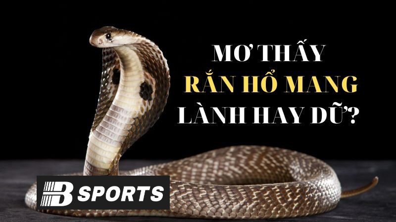 Giải mã giấc mơ thấy rắn hổ mang