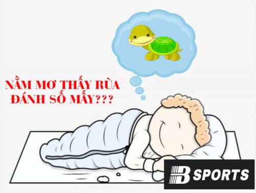 Ý nghĩa khi mơ thấy rùa đen