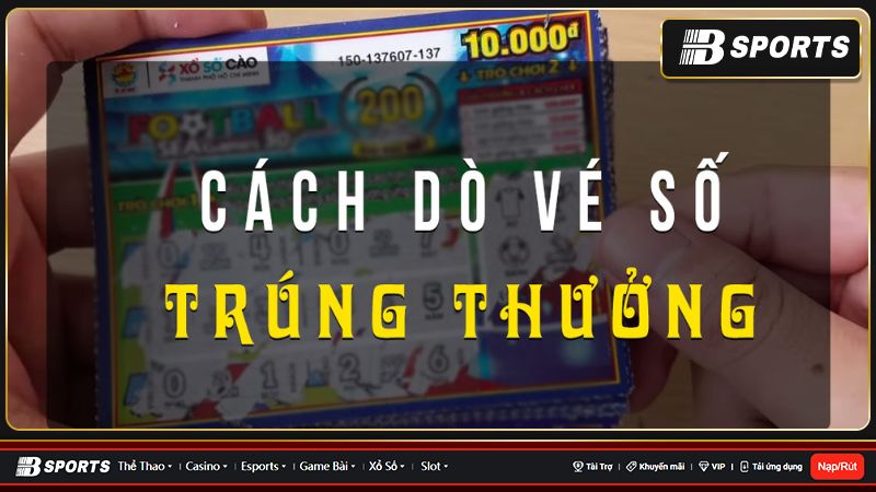 Hướng dẫn chi tiết cách dò vé số nhanh nhất 