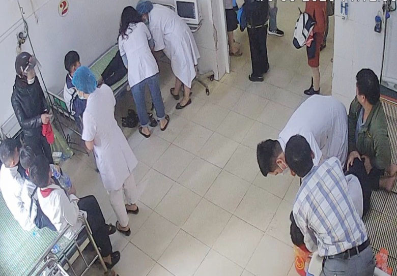 11 em học sinh lớp 6 đã bị ngộ độc thực phẩm do ăn phải hạt ngô đồng 11 em học sinh lớp 6 đã bị ngộ độc thực phẩm do ăn phải hạt ngô đồng