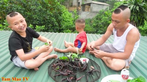 Tam Mao TV gồm 2 thành viên chủ chốt là Mao Đại Ca và anh chàng nhỏ bé Mao Đệ Đệ. Sự hài hước của bộ đôi này khiến cho nhiều khán giả vô cùng thích thú và đón nhận