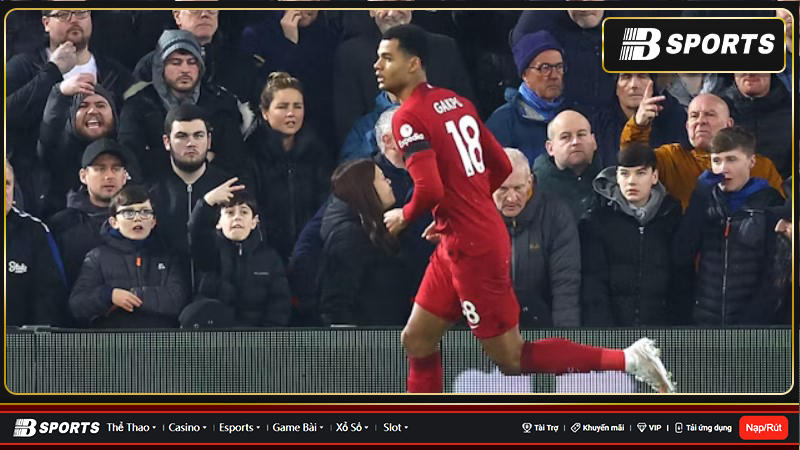 Cody Gakpo rút khỏi tuyển Hà Lan cho VL EURO 2024 và trở lại cạnh tranh suất đá chính ở Liverpool