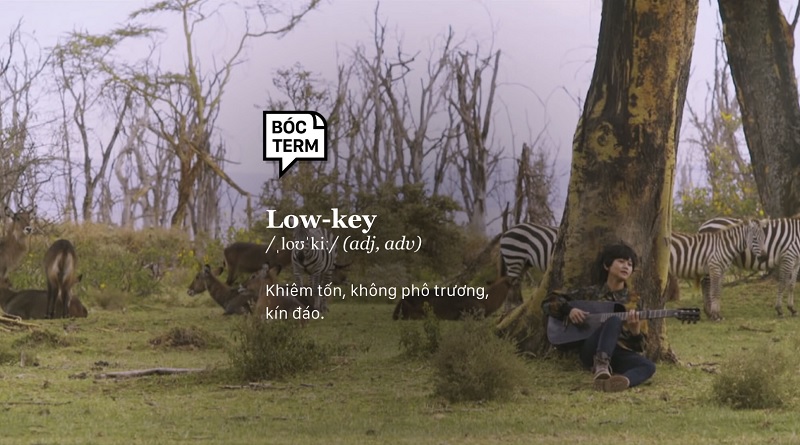 Nguồn gốc xuất xứ của từ lowkey