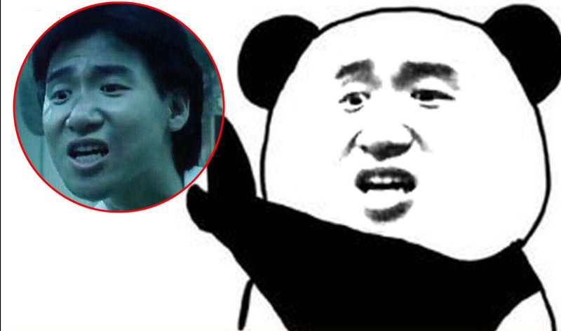 Meme gấu trúc được phổ biến khắp nơi trên thế giới