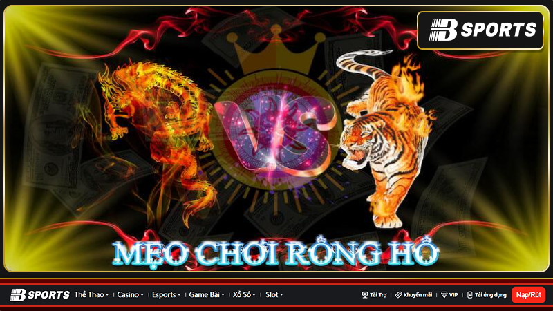 rồng hổ suncity rồng hổ suncity