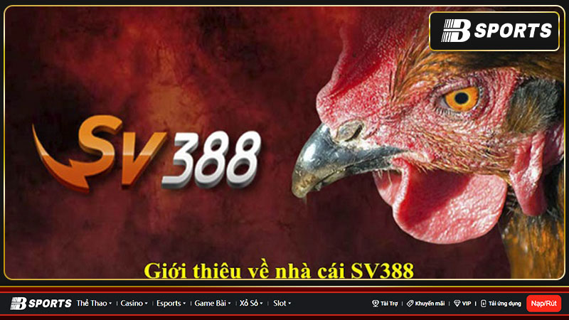 Giới thiệu về SV3888