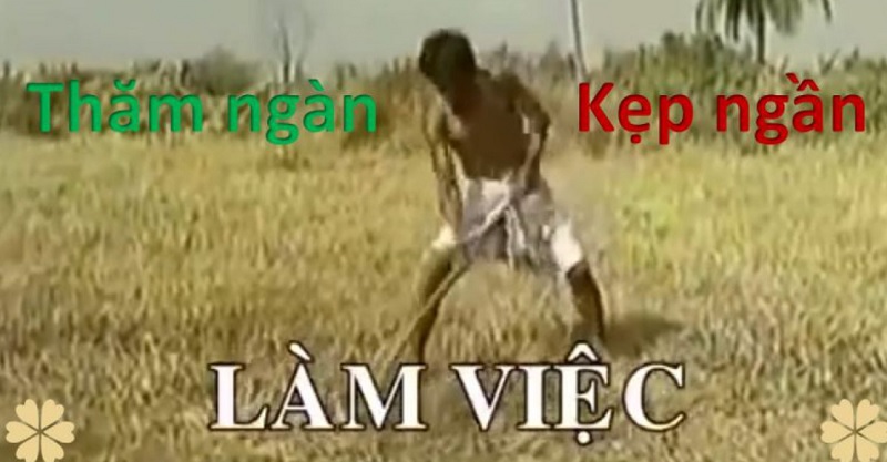 Thăm ngàn là gì được các bạn trẻ sử dụng rộng rãi hiện nay Thăm ngàn là gì được các bạn trẻ sử dụng rộng rãi hiện nay