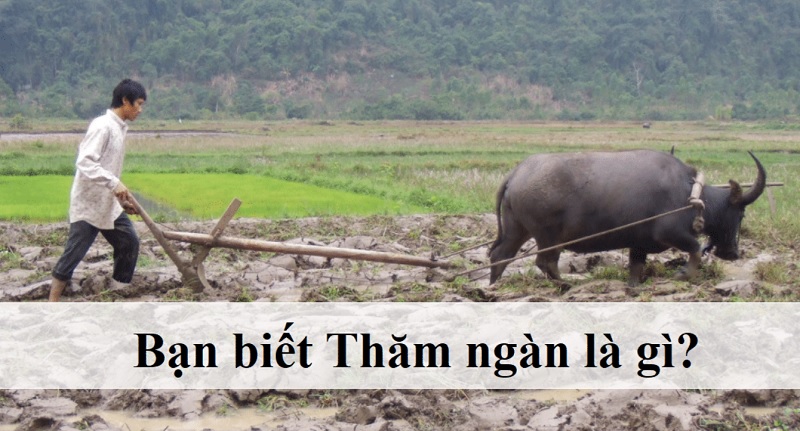 Những từ hot trend được bạn trẻ genZ sử dụng Những từ hot trend được bạn trẻ genZ sử dụng