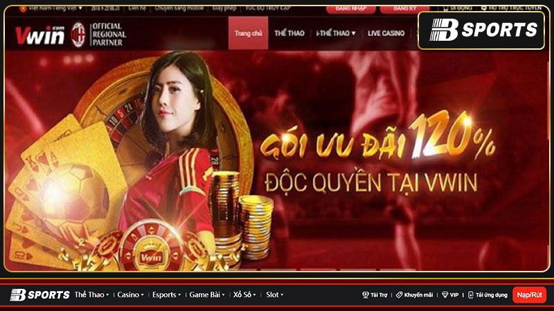 Thông tin cơ bản nhà cái VWIN88