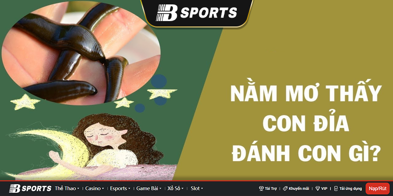 Nằm mơ thấy giết đỉa Nằm mơ thấy giết đỉa