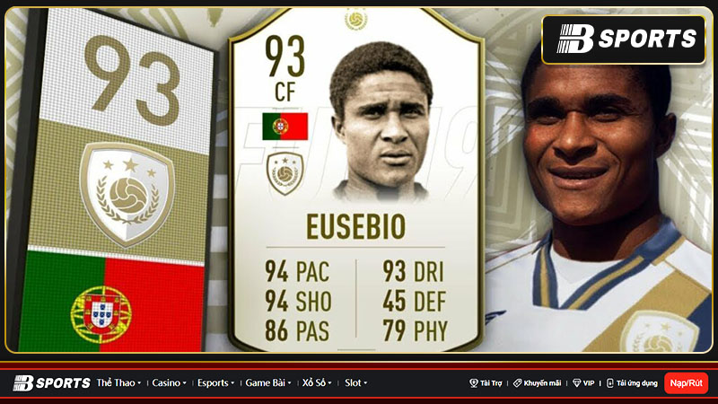 Báo đen Eusebio Báo đen Eusebio
