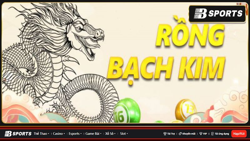 Soi cầu rồng bạch kim miền Nam là gì? Soi cầu rồng bạch kim miền Nam là gì?