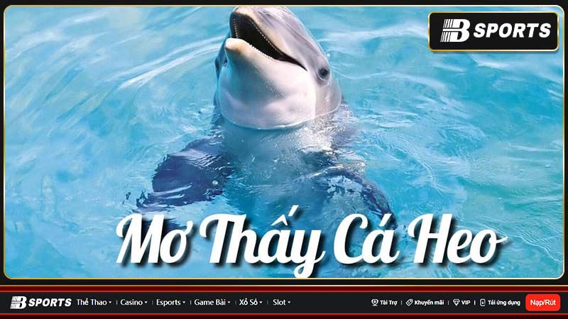 Giải mã mơ thấy cá heo