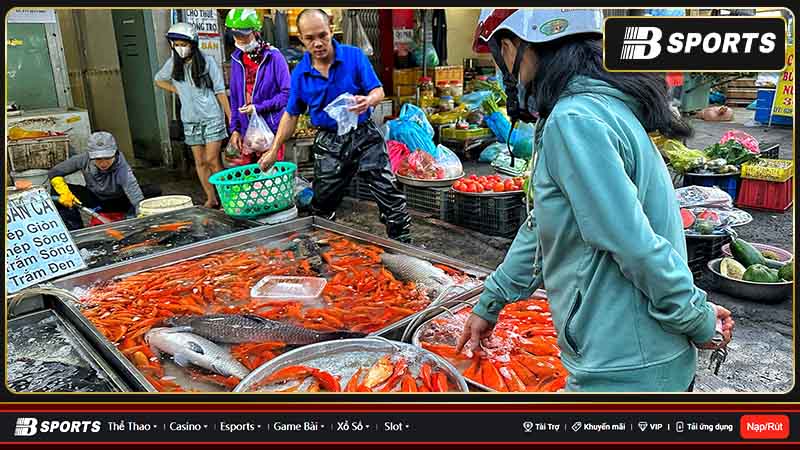 Mơ mua cá ở chợ có nhiều ý nghĩa Mơ mua cá ở chợ có nhiều ý nghĩa