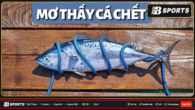 Nằm mơ thấy cá chết có nhiều ý nghĩa Nằm mơ thấy cá chết có nhiều ý nghĩa