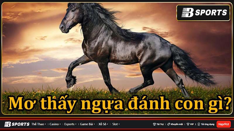 Khám phá về những giấc mơ thấy con ngựa Khám phá về những giấc mơ thấy con ngựa